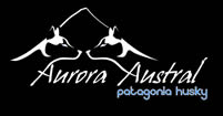 Volcan Villarrica Challenge 2014 Hundeschlittenrennen Sled Dog Race Carrera de Perros de Trineo Logo Aurora AUstral Patagonia Husky
